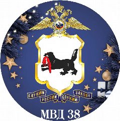 Канал МВД38 в мессенджере MAX — 3 394 подписчика