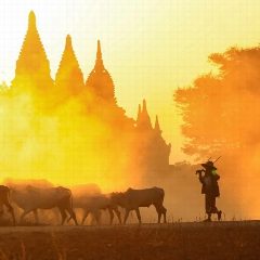 Канал Myanmar Мьянма в мессенджере MAX — 57 подписчиков