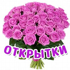 Канал Открытки в мессенджере MAX — 4 238 подписчиков