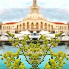 Канал Мой прекрасный Сочи в мессенджере MAX — 12 подписчиков