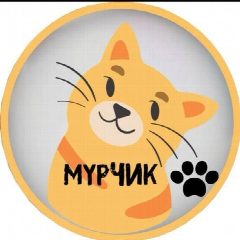Канал Мурчик 🐱 в мессенджере MAX — 9 396 подписчиков