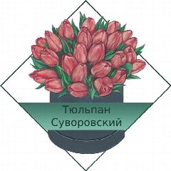 Канал Тюльпан Суворовский в мессенджере MAX — 268 подписчиков