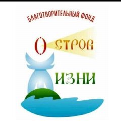 Канал ОСТРОВ ЖИЗНИ в мессенджере MAX — 565 подписчиков