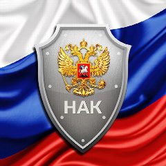 Канал НАК 🇷🇺 в мессенджере MAX — 2 523 подписчика