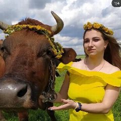 Канал Натали из Зари в мессенджере MAX — 23 193 подписчика