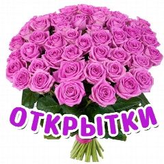 Канал Открытки в мессенджере MAX — 4 816 подписчиков
