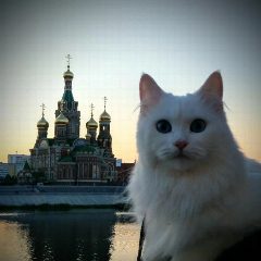 Канал НОВОСТИ ЙОШКАР-ОЛА МАРИЙ ЭЛ в мессенджере MAX — 1 887 подписчиков