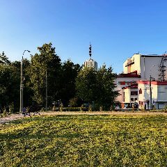 Канал Новости на все случаи в мессенджере MAX — 20 подписчиков