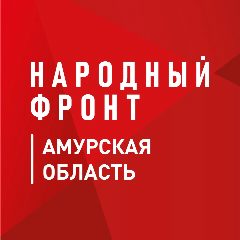 Канал Народный фронт | Амурская область в мессенджере MAX — 36 подписчиков