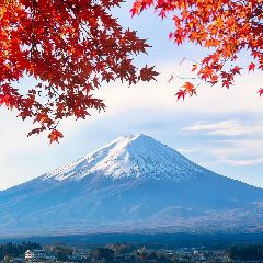 Канал Dreams About Japan • Япония в мессенджере MAX — 395 подписчиков