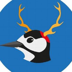 Канал Нижний Дятел в мессенджере MAX — 550 подписчиков