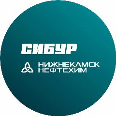 Канал Нижнекамскнефтехим в мессенджере MAX — 1 714 подписчиков