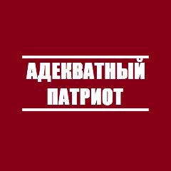 Канал Адекватный Патриот в мессенджере MAX — 65 подписчиков