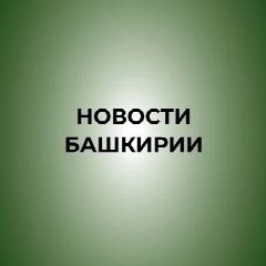 Канал Новости Башкирии | Ҙур секрет в мессенджере MAX — 43 890 подписчиков