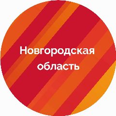 Канал Правительство Новгородской области в мессенджере MAX — 206 подписчиков