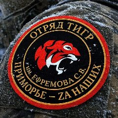 Канал Жизнь Тигров в мессенджере MAX — 1 338 подписчиков