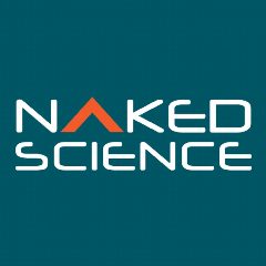 Канал Naked Science в мессенджере MAX — 2 688 подписчиков