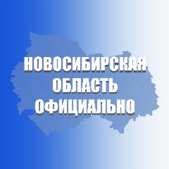 Канал Новосибирская область. Официально в мессенджере MAX — 1 338 подписчиков