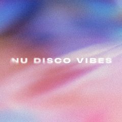 Канал Nu Disco Vibes в мессенджере MAX — 89 подписчиков