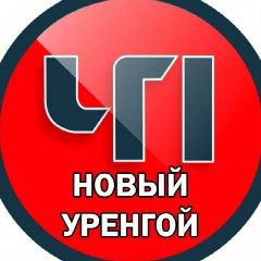 Канал Новый Уренгой ЧП в мессенджере MAX — 7 873 подписчика