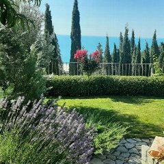 Канал Crimea Garden в мессенджере MAX — 188 подписчиков
