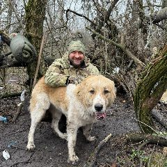 Канал Иван Утенков | Новости🇷🇺 в мессенджере MAX — 92 029 подписчиков