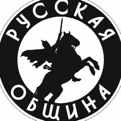 Канал Русская Община ZOV в мессенджере MAX — 50 799 подписчиков