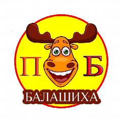 Канал Балашиха в мессенджере MAX — 1 484 подписчика