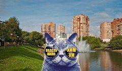 Канал Химки в мессенджере MAX — 2 670 подписчиков
