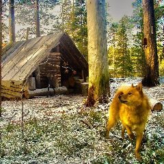 Канал Охотники и рыболовы | Таёжная романтика ® в мессенджере MAX — 1 253 подписчика