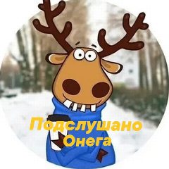 Канал Подслушано Онега в мессенджере MAX — 109 подписчиков