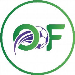 Канал ONLY FOOTBALL | ФУТБОЛ в мессенджере MAX — 434 подписчика