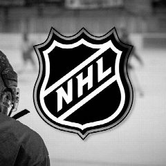 Канал Только NHL в мессенджере MAX — 3 809 подписчиков