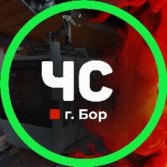 Канал Городское сообщество «Черный список г. Бор» в мессенджере MAX — 2 828 подписчиков