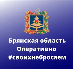 Канал Брянская область. Оперативно в мессенджере MAX — 4 635 подписчиков