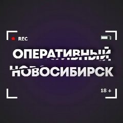 Канал Оперативный Новосибирск в мессенджере MAX — 456 подписчиков