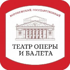 Канал Воронежский государственный театр оперы и балета в мессенджере MAX — 198 подписчиков