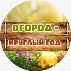 Канал Огород - круглый год | Сад, Дача, Заготовки в мессенджере MAX — 3 094 подписчика