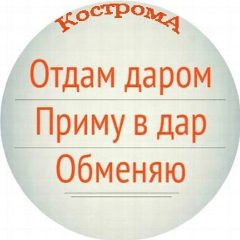 Канал Отдам даром. Кострома в мессенджере MAX — 153 подписчика