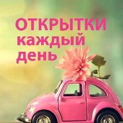 Канал Открытки, поздравления, стихи в мессенджере MAX — 515 подписчиков