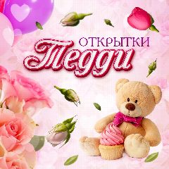 Канал Открытки Тедди в мессенджере MAX — 925 подписчиков