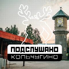Канал Подслушано Кольчугино в мессенджере MAX — 1 151 подписчик