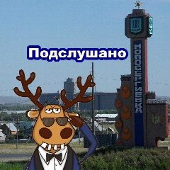 Канал Подслушано Новосергиевка в мессенджере MAX — 1 267 подписчиков