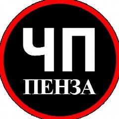 Канал ЧП Пенза в мессенджере MAX — 16 428 подписчиков