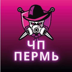 Канал Пермь|новости и чп в мессенджере MAX — 21 подписчик