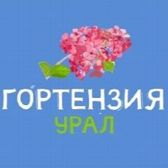 Канал Гортензия Урал в мессенджере MAX — 397 подписчиков