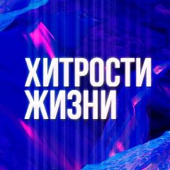 Канал Хитрости жизни - Лайфхак на заметку в мессенджере MAX — 642 подписчика