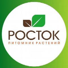 Канал Питомник растений Росток. Саженцы в мессенджере MAX — 4 062 подписчика