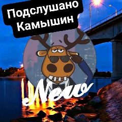 Канал Подслушано Камышин в мессенджере MAX — 5 471 подписчик