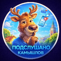 Канал Подслушано Камышлов в мессенджере MAX — 2 691 подписчик